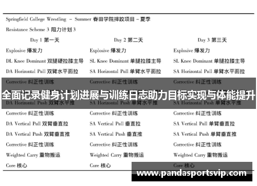 全面记录健身计划进展与训练日志助力目标实现与体能提升