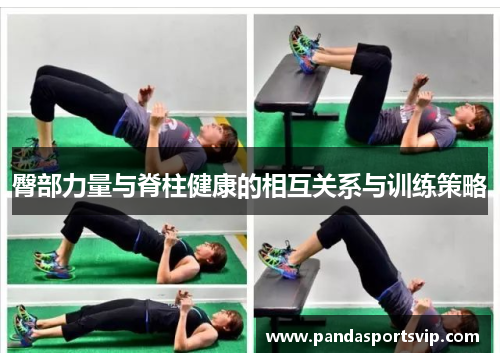 臀部力量与脊柱健康的相互关系与训练策略