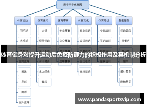 体育健身对提升运动后免疫防御力的积极作用及其机制分析